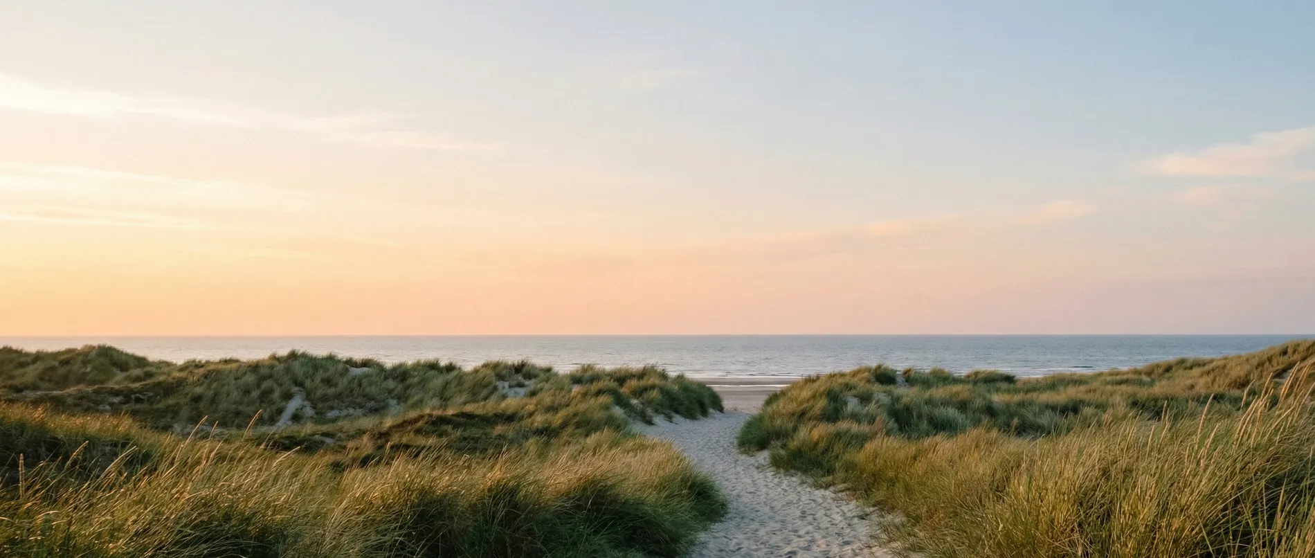 Het brede Noordzeestrand op loopafstand van het resort